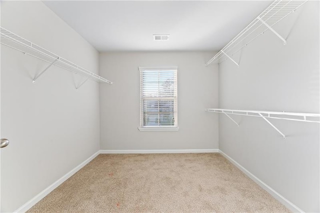 spacious closet featuring light carpet