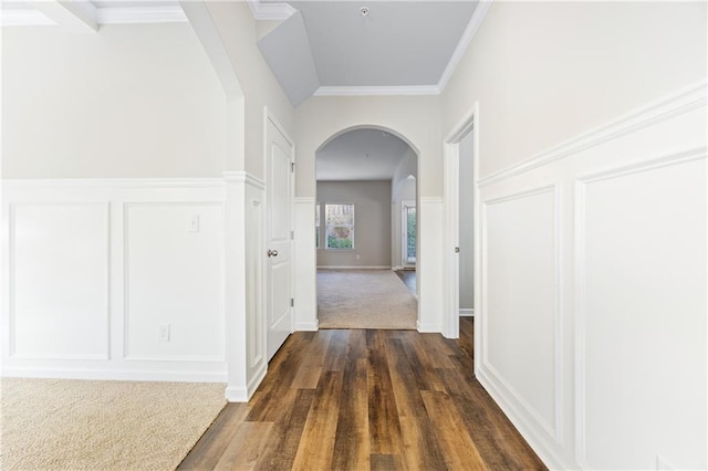 corridor featuring crown molding and dark wood-type flooring