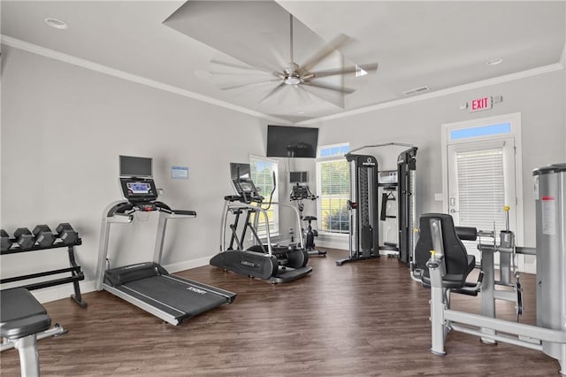 80 Riley Place Dr, Dawsonville, GA 30534 - workout area with ceiling fan, wood finished floors, ornamental molding, and recessed lighting
