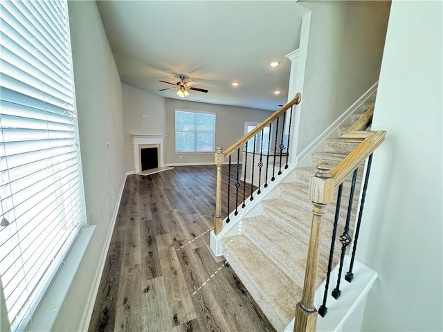 staircase featuring ceiling fan and hardwood / wood-style floors