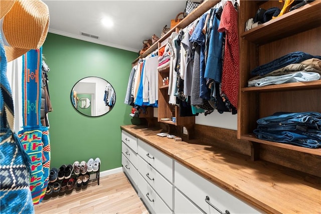 233 Spence Ave SE, Atlanta, GA 30317 - spacious closet with light wood-style flooring