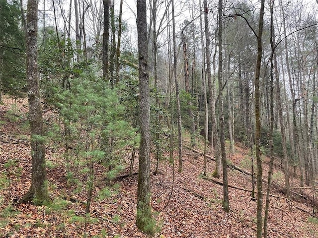 0 Sapulpa Ct, Ellijay, GA 30540