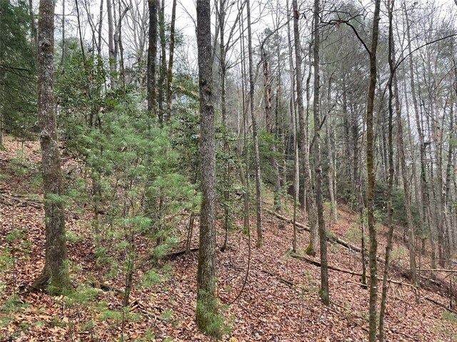 0 Sapulpa Ct, Ellijay, GA 30540