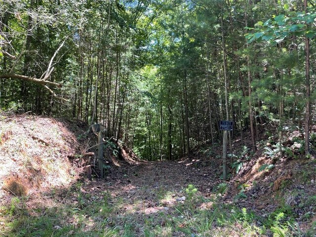 0 Sapulpa Ct, Ellijay, GA 30540