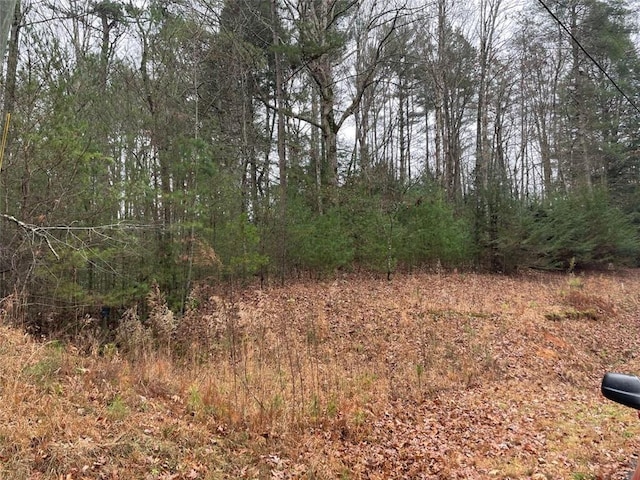 0 Sapulpa Ct, Ellijay, GA 30540