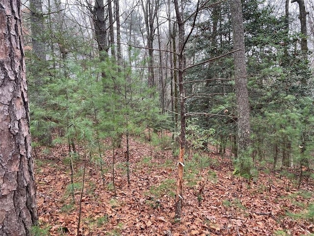 0 Sapulpa Ct, Ellijay, GA 30540