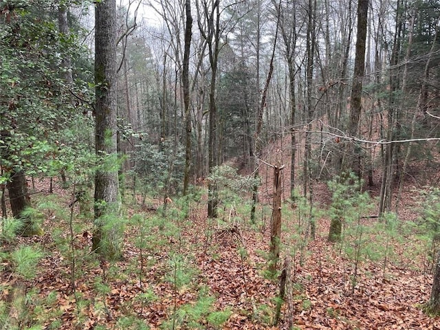0 Sapulpa Ct, Ellijay, GA 30540