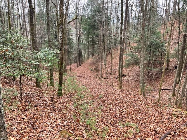 0 Sapulpa Ct, Ellijay, GA 30540