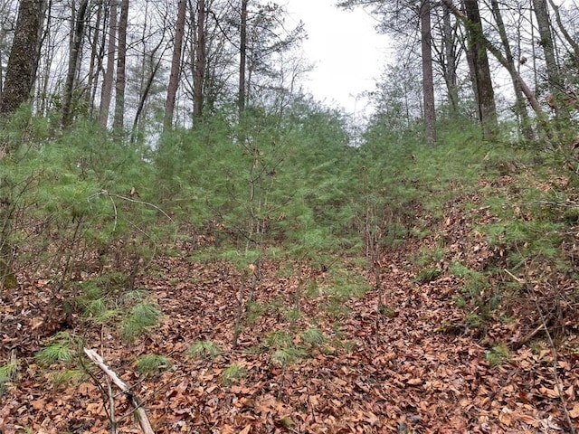 0 Sapulpa Ct, Ellijay, GA 30540