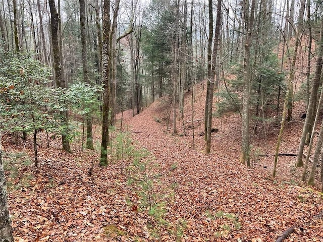 0 Sapulpa Ct, Ellijay, GA 30540
