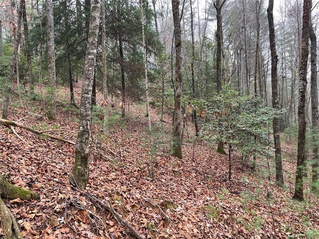 0 Sapulpa Ct, Ellijay, GA 30540