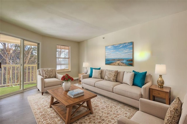 living area with wood finished floors