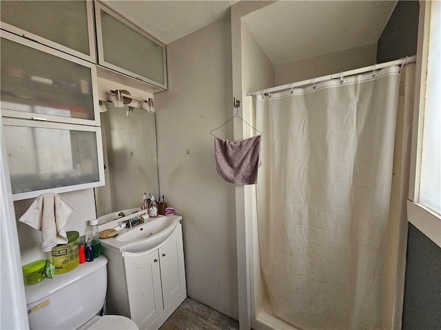 bathroom featuring toilet, curtained shower, and vanity