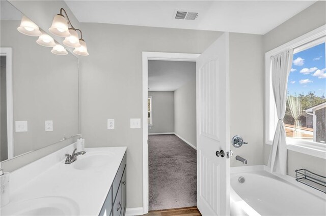 bathroom with a washtub and vanity