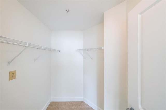 spacious closet with carpet floors