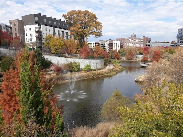 1015 Mcgill Park Ave NE, Atlanta, GA 30312 - water view