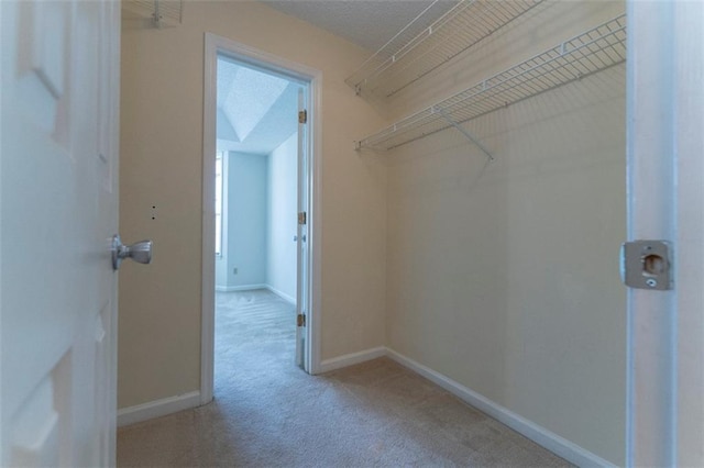 1015 Mcgill Park Ave NE, Atlanta, GA 30312 - walk in closet with carpet floors