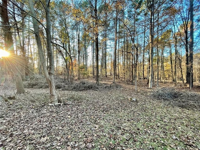 view of local wilderness