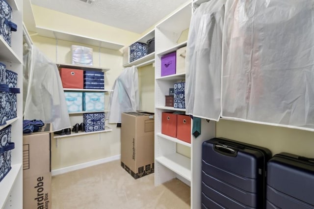 570 White Stag Ct, Suwanee, GA 30024 - spacious closet featuring carpet flooring