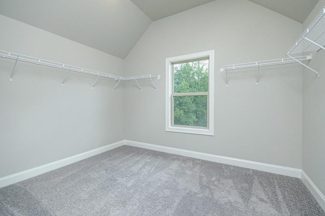 walk in closet with carpet floors and vaulted ceiling