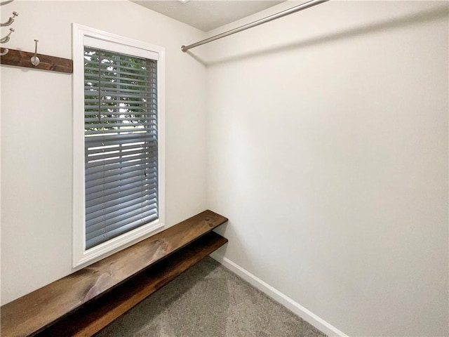 walk in closet featuring carpet