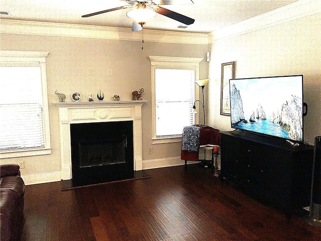 living area featuring dark wood-style floors, plenty of natural light, a fireplace, and ornamental molding