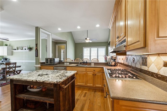 kitchen featuring light wood finished floors, a ceiling fan, a center island, stainless steel appliances, and under cabinet range hood