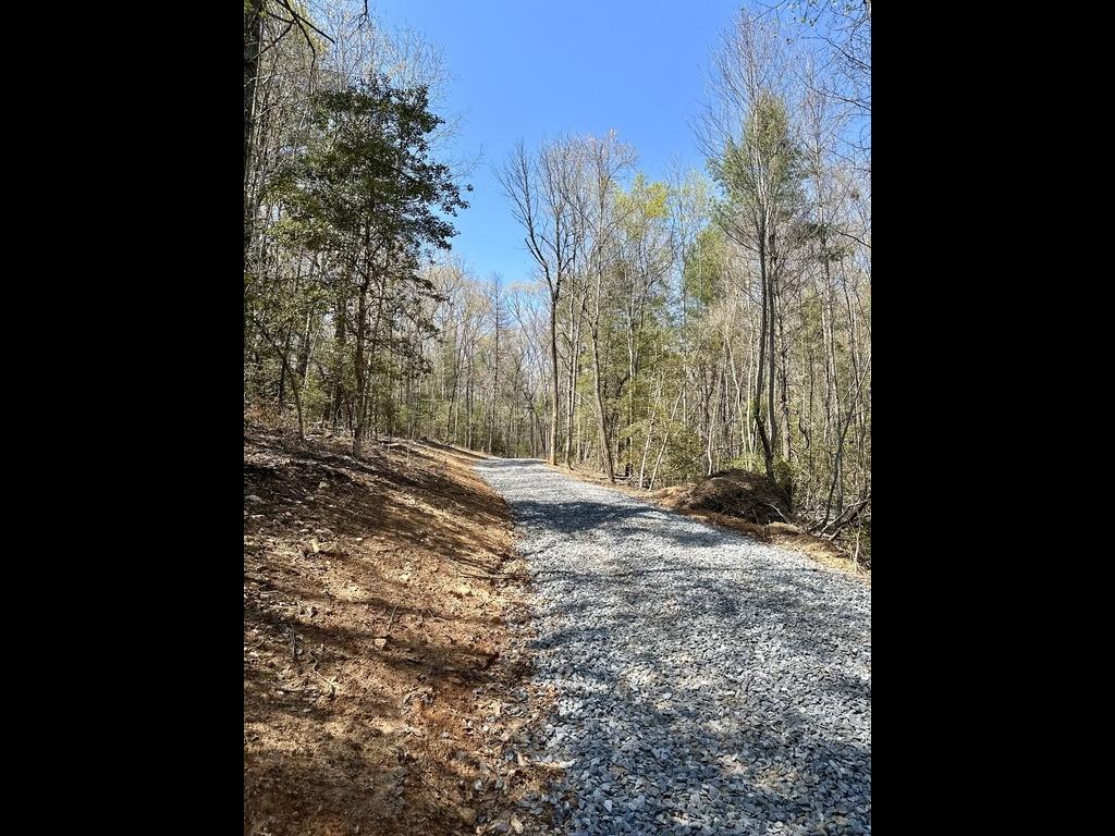 2.4 E New Hope Rd, Ellijay, GA 30536