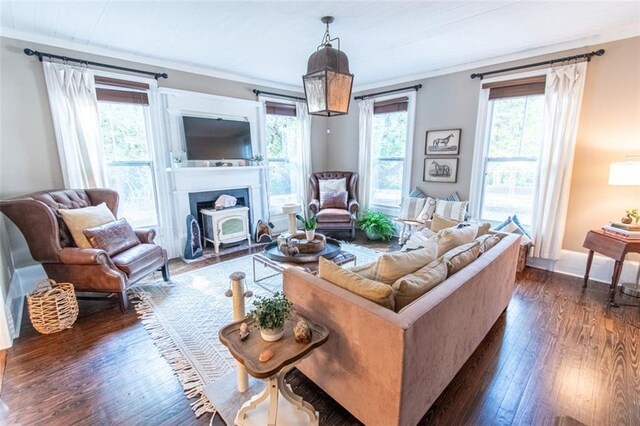 living room with dark hardwood / wood-style floors