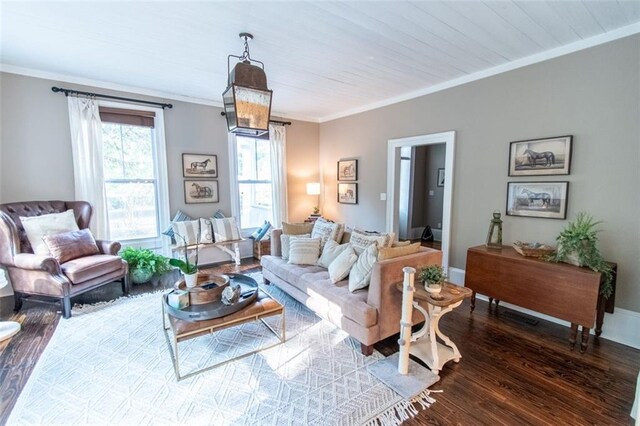 living room featuring crown molding and dark hardwood / wood-style flooring