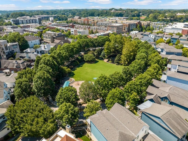 970 N Ormewood Park Dr SE, Atlanta, GA 30316 - bird's eye view of a tree filled landscape