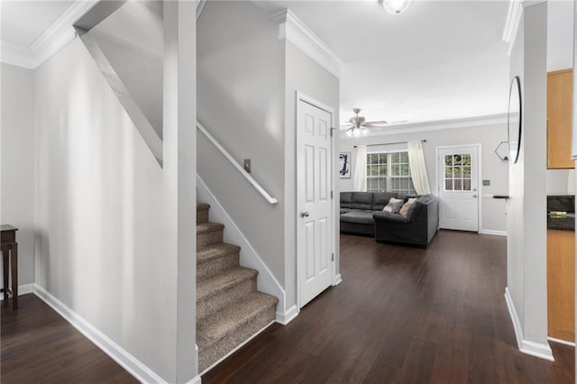 stairs with wood-type flooring, ornamental molding, and ceiling fan