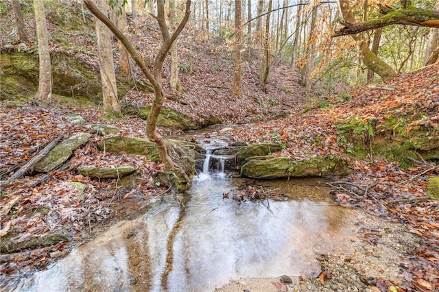 view of nature