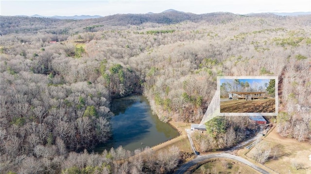 drone / aerial view featuring a water and mountain view