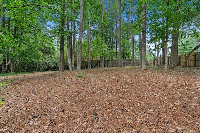 view of yard