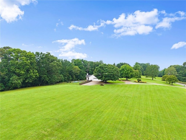 322 Windy Ridge Dr, Demorest, GA 30535 - view of grassy yard
