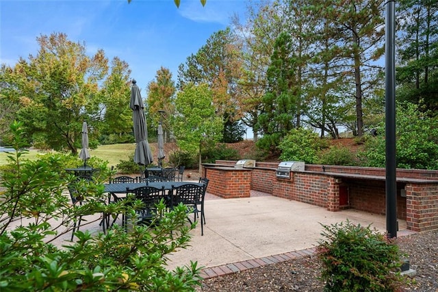 view of patio with area for grilling and an outdoor kitchen