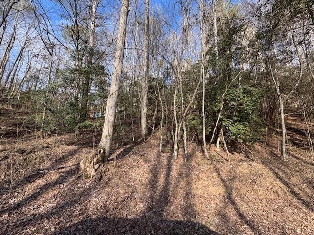 Listing photo 3 for LOT7 Hidden Valley Trl, Ellijay GA 30540