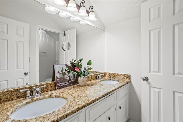 4792 Fairville Ct, Marietta, GA 30062 - full bathroom featuring double vanity, vaulted ceiling, and toilet