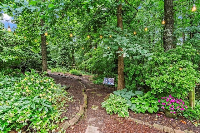 4792 Fairville Ct, Marietta, GA 30062 - view of nature