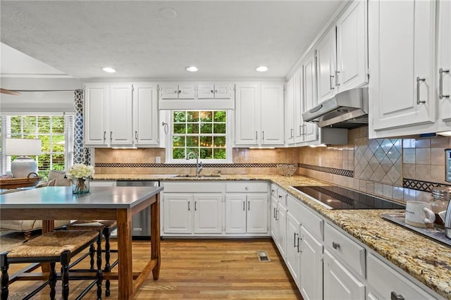 4792 Fairville Ct, Marietta, GA 30062 - kitchen featuring a sink, black electric stovetop, under cabinet range hood, stainless steel dishwasher, and healthy amount of natural light