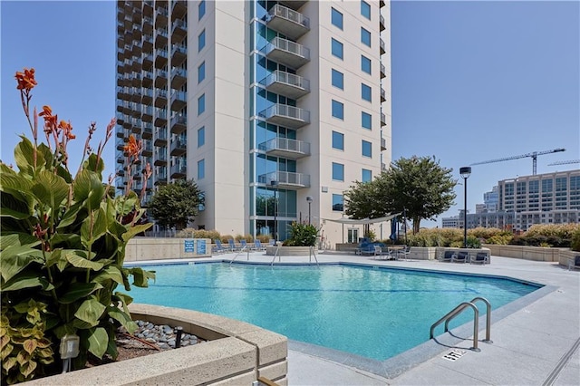 view of swimming pool featuring a patio