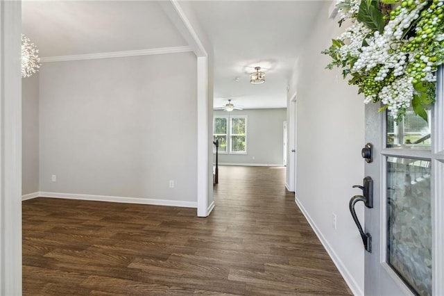 entrance foyer featuring ceiling fan with notable chandelier, crown molding, and dark wood-type flooring