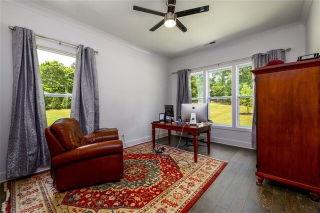 400 Fox Valley Dr, Monroe, GA 30656 - office space featuring ornamental molding, healthy amount of natural light, ceiling fan, dark wood-style flooring, and baseboards