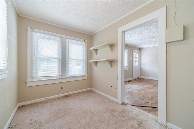 carpeted empty room with crown molding, a textured ceiling, and baseboards