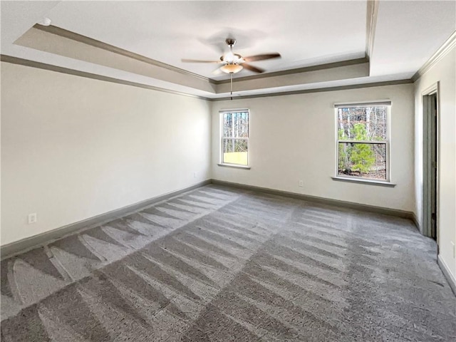 spare room featuring a tray ceiling, baseboards, carpet, and crown molding