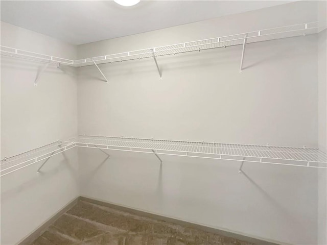 walk in closet with carpet