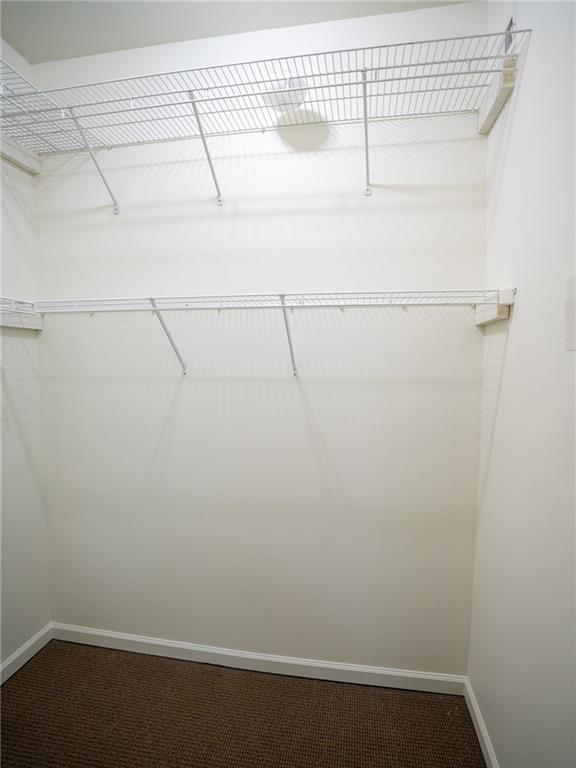 walk in closet with carpet