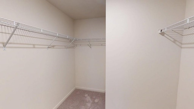 131 Andria Way, Cartersville, GA 30120 - spacious closet featuring carpet floors