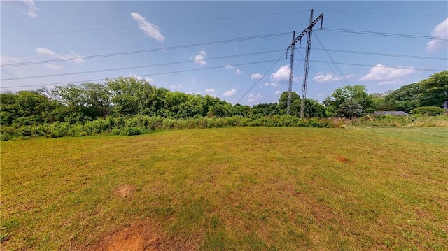 131 Andria Way, Cartersville, GA 30120 - view of grassy yard
